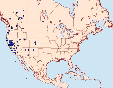 Distribution Data for Sesia pacificum