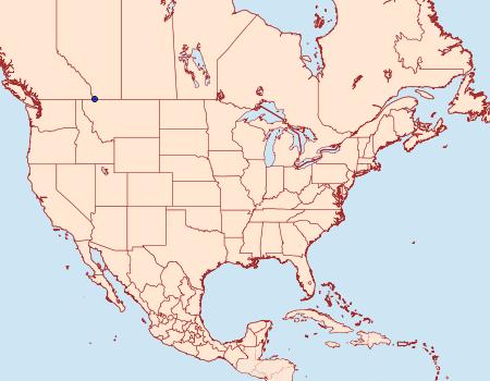 Distribution Data for Caloreas canadensis