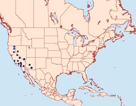 Distribution Data for Hypopta palmata