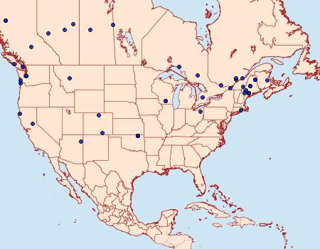 Distribution Data for Zeiraphera canadensis