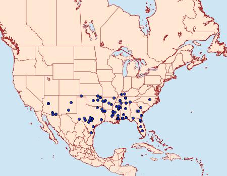 Distribution Data for Acrolophus cressoni