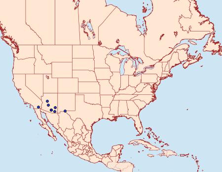 Distribution Data for Acrolophus furcatus
