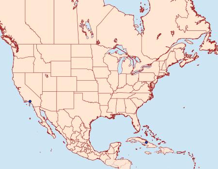 Distribution Data for Acrolophus leucodocis