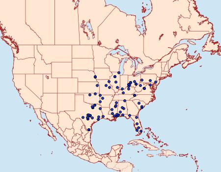 Distribution Data for Acrolophus mortipennella