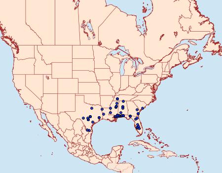 Distribution Data for Acrolophus piger