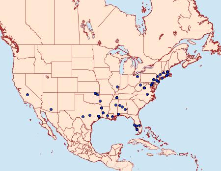 Distribution Data for Platphalonidia magdalenae