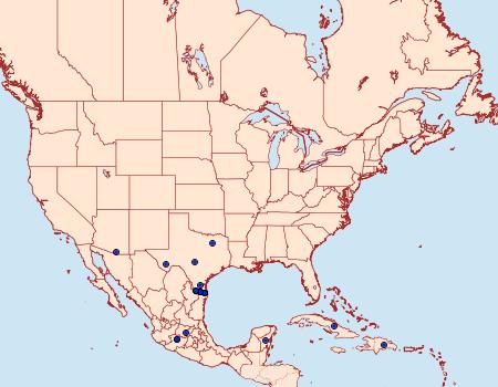 Distribution Data for Autochton potrillo