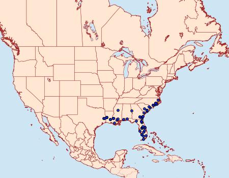 Distribution Data for Oligoria maculata