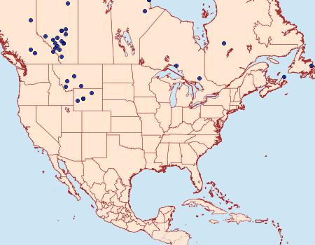 Distribution Data for Colias gigantea