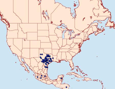 Distribution Data for Calycopis isobeon