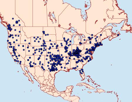 Distribution Data for Callophrys gryneus