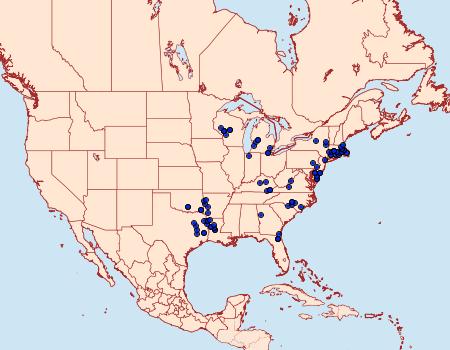 Distribution Data for Callophrys irus