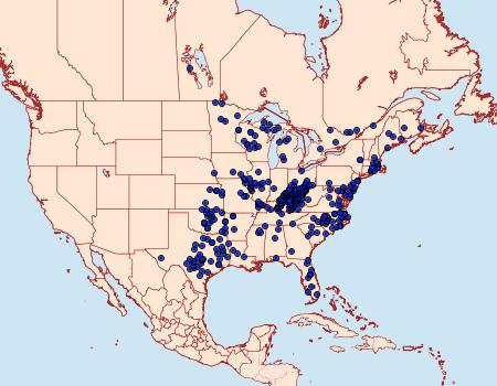 Distribution Data for Callophrys henrici