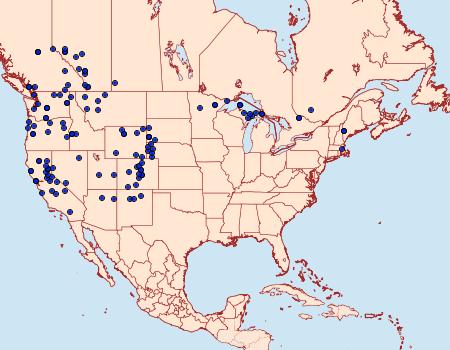 Distribution Data for Callophrys eryphon
