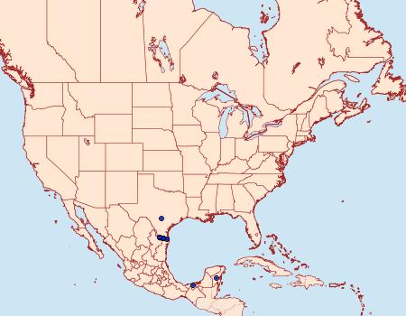 Distribution Data for Strymon albata
