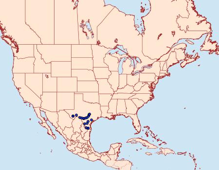 Distribution Data for Calephelis rawsoni
