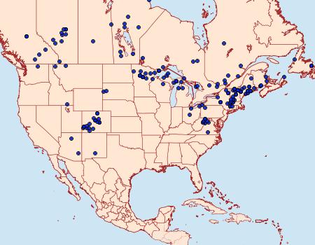 Distribution Data for Argynnis atlantis