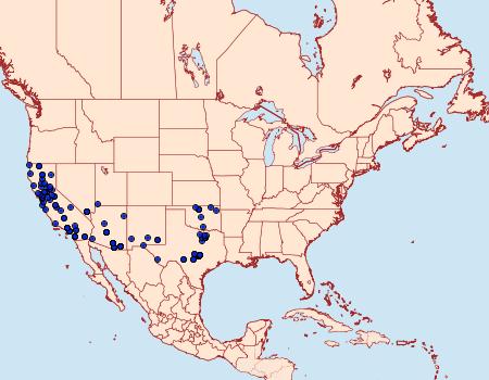 Distribution Data for Petrophila jaliscalis