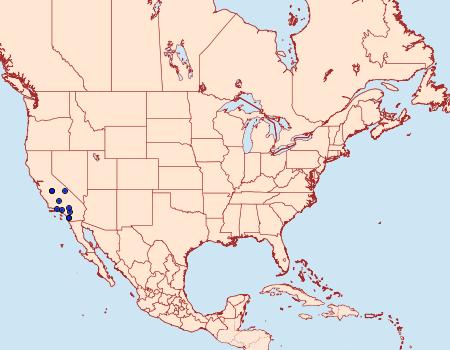 Distribution Data for Chrismania pictipennalis