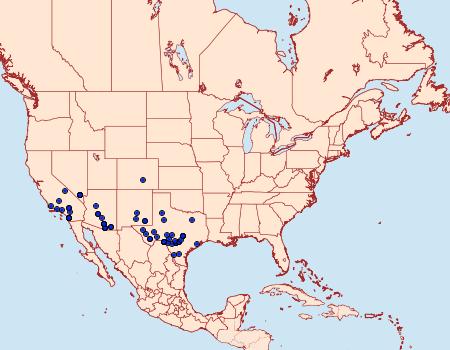 Distribution Data for Pyrausta pseudonythesalis