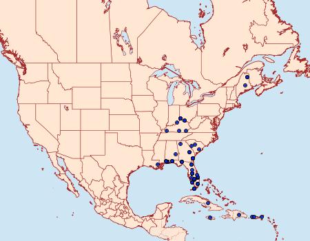 Distribution Data for Pyrausta phoenicealis