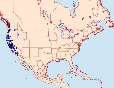 Distribution Data for Pyrausta californicalis