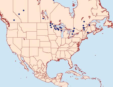 Distribution Data for Crambus alienellus