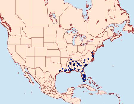 Distribution Data for Diatraea lisetta