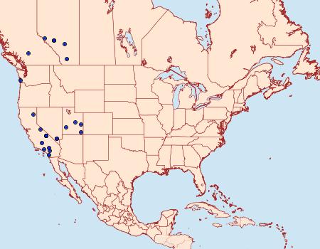 Distribution Data for Ancylosis albipenella