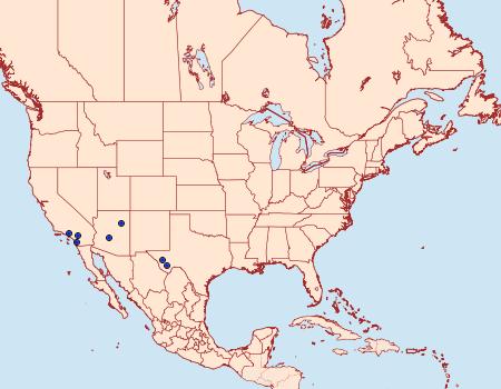 Distribution Data for Echinocereta strigalis