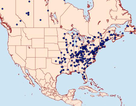 Distribution Data for Oreta rosea