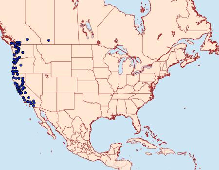 Distribution Data for Neoalcis californiaria