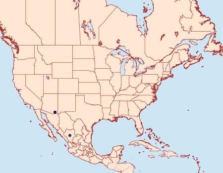 Distribution Data for Chiricahua lichenaria