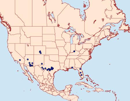 Distribution Data for Scopula plantagenaria