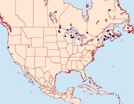Distribution Data for Eulithis serrataria
