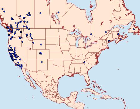 Distribution Data for Antepirrhoe semiatrata
