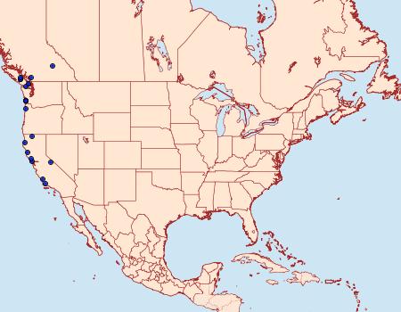 Distribution Data for Hydriomena californiata