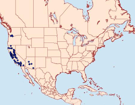 Distribution Data for Triphosa californiata