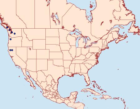Distribution Data for Hydrelia brunneifasciata