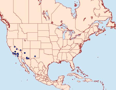 Distribution Data for Scelidacantha fuscata
