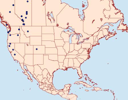 Distribution Data for Lobophora magnoliatoidata