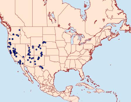 Distribution Data for Coloradia pandora