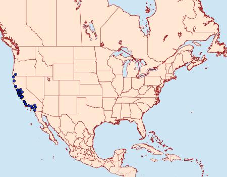 Distribution Data for Phryganidia californica