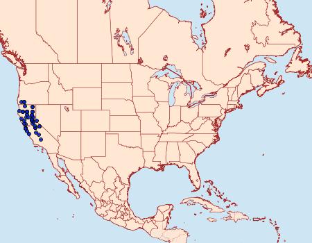 Distribution Data for Gnophaela latipennis