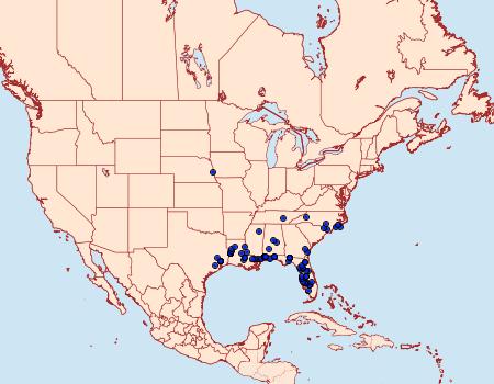 Distribution Data for Clemensia ochreata