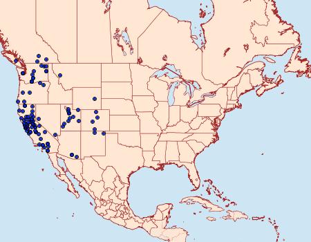 Distribution Data for Leptarctia californiae