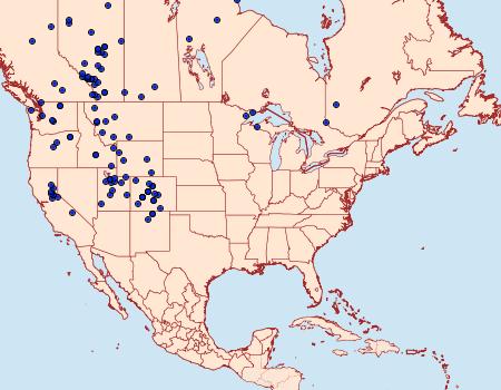 Distribution Data for Arctia plantaginis