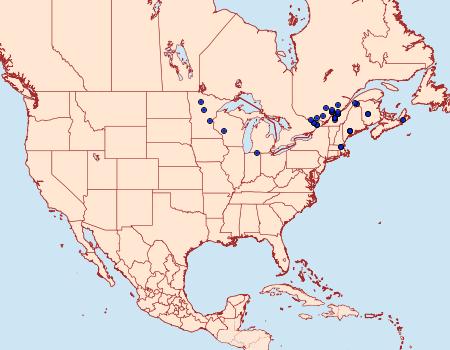 Distribution Data for Hypenodes palustris