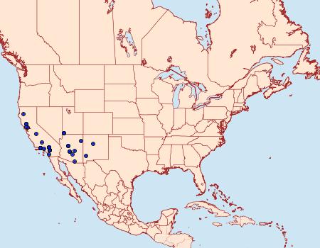 Distribution Data for Catocala chelidonia