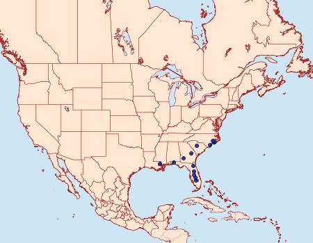 Distribution Data for Ponometia parvula
